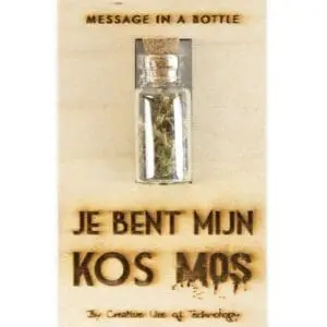 Ketting met mini flesje - message in a bottle - Necklace with a mini bottle - Message in a bottle