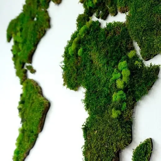 Wereldkaart wanddecoratie mos