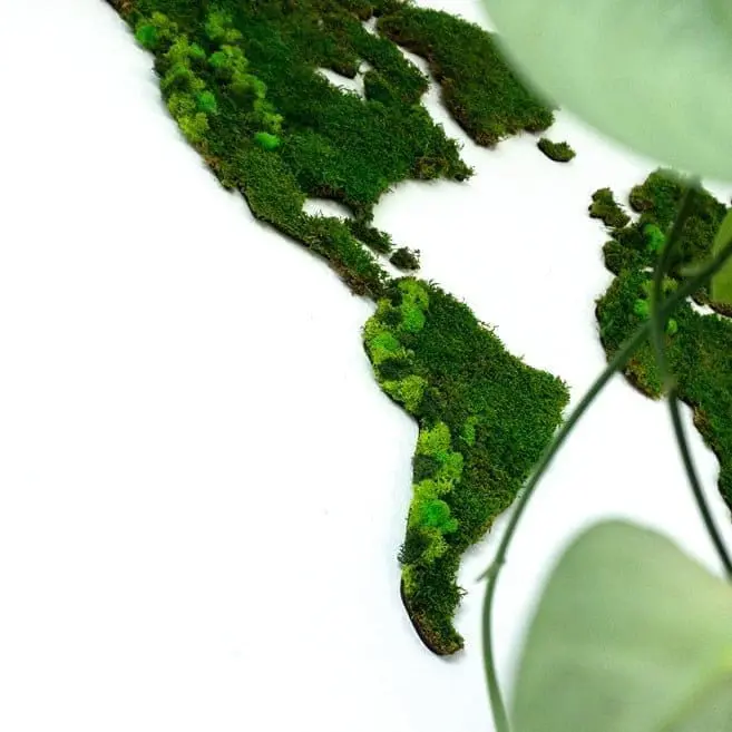 Wereldkaart wanddecoratie mos