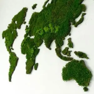 Wereldkaart wanddecoratie mos