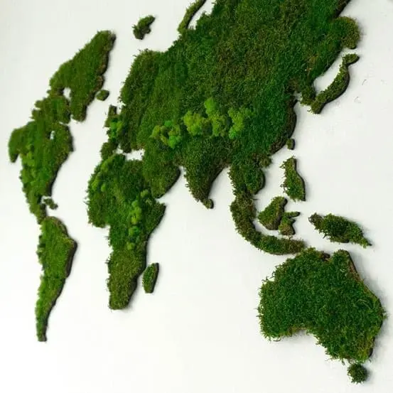 Wereldkaart wanddecoratie mos