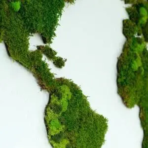 Wereldkaart van mos