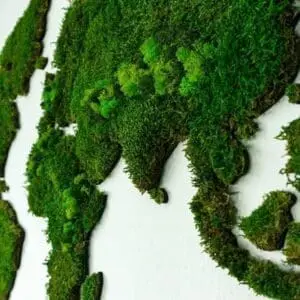 Wereldkaart wanddecoratie mos