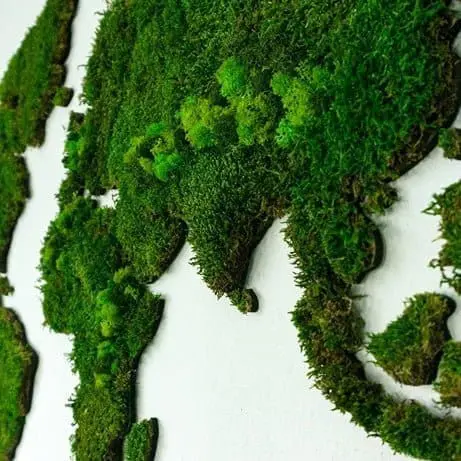 Wereldkaart wanddecoratie mos