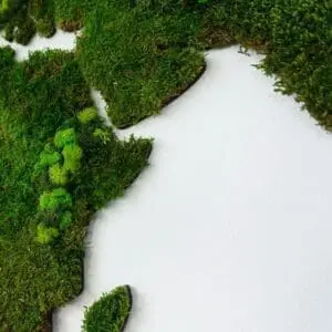 Wereldkaart van mos
