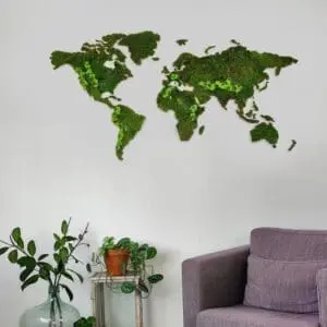 Wereldkaart van mos