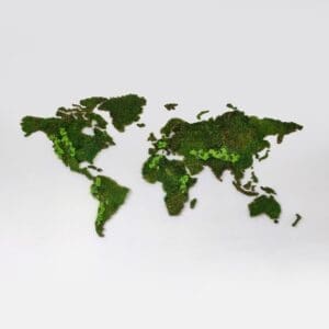 Wereldkaart wanddecoratie mos