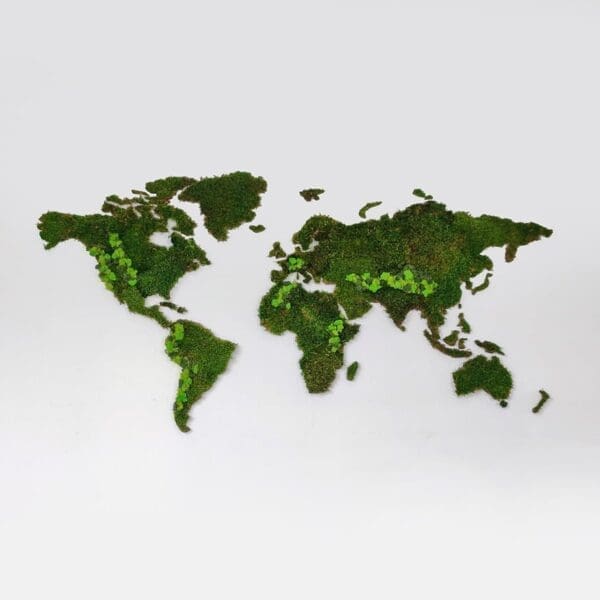 Wereldkaart wanddecoratie mos