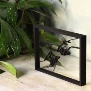 Floating Frames Houten lijstje transparant lijnen handen