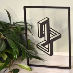 Floating Frames Houten lijstje transparant Impossible Geometry