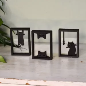 Floating Frames Houten lijstje transparant Kat