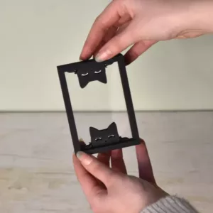 Floating Frames Houten lijstje transparant Kat