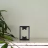 Floating Frames Houten lijstje transparant Kat