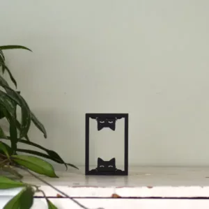 Floating Frames Houten lijstje transparant Kat