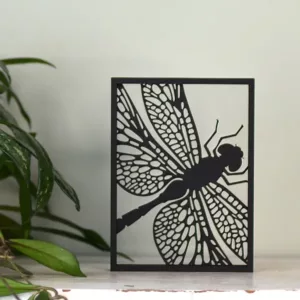 Floating Frames Houten lijstje transparant libelle