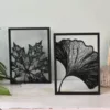 Floating Frames Houten lijstje transparant ginkgo blad
