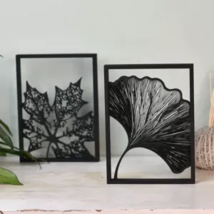 Floating Frames Houten lijstje transparant ginkgo blad