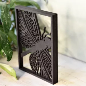 Floating Frames Houten lijstje transparant libelle