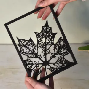 Floating Frames Houten lijstje transparant blad herfst