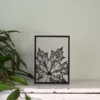 Floating Frames Houten lijstje transparant blad herfst