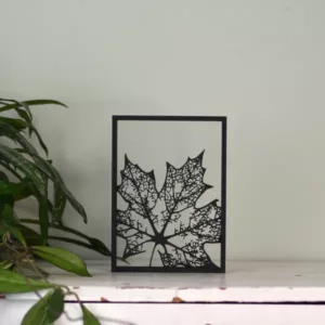 Floating Frames Houten lijstje transparant blad herfst