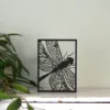 Floating Frames Houten lijstje transparant libelle