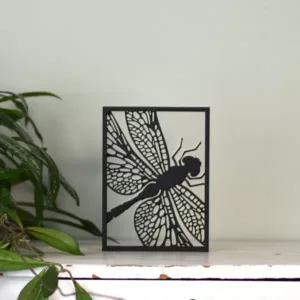 Floating Frames Houten lijstje transparant libelle