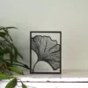 Floating Frames Houten lijstje transparant ginkgo blad